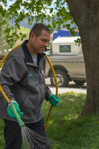 406 fertilization owner spraying a lawn with fertilizer and weed control during the summer months