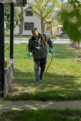 man spraying fertilizer and weed control out of a hose onto a lawn